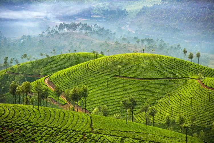 Šri Lanka — kelionės akimirka